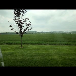 Meet your Posher, Daisy